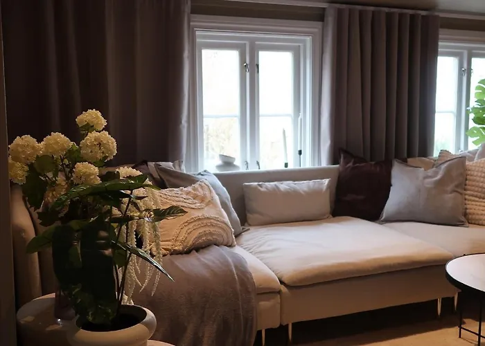 Cozy, Grimstad