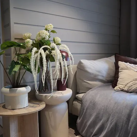 Διαμέρισμα Cozy,